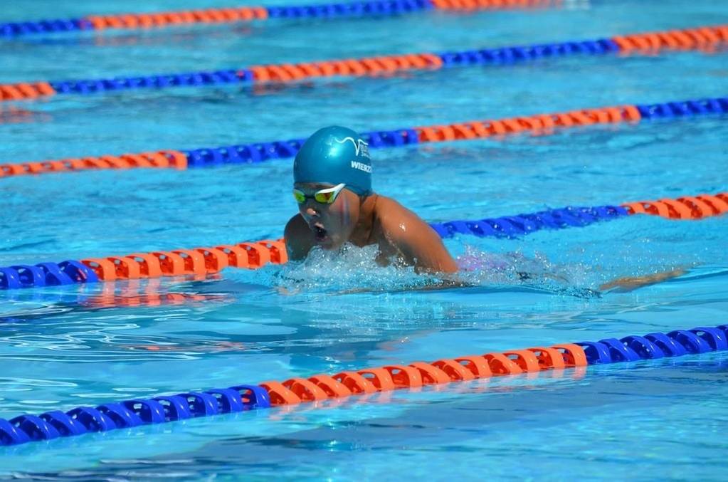 L'art de la natation, explorer les techniques